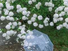 -杭州植物园