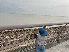 -瀛洲公园