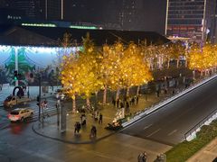 -成都尼依格罗酒店