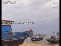 -仙人岛
