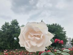 -万达影城(涪城万达广场激光IMAX店)