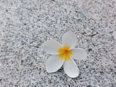 -南宁南湖公园