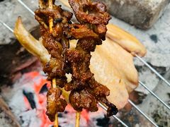 -南宁良凤江国家森林公园