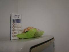 -全家便利店(立医院北区店)