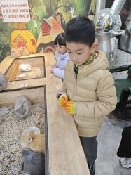 -神奇动物撸宠馆·羊驼·小浣熊·异宠(豫园店)
