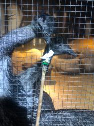 -酷嗒动物文化乐园(cutezoo西溪乐天城店)