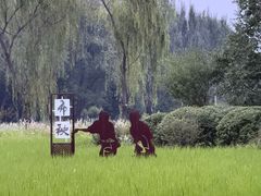 -北坞公园