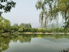 -那家小馆•北京菜•烤鸭(香山店)