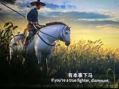 -上海金逸影城(静安大悦城店（原新恒星影城）)