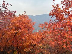 -周口店坡峰岭风景区