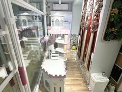 -青奢宠物·青奢猫舍