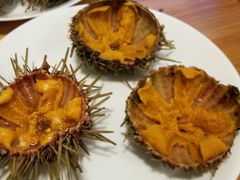 -海胆小馆(东北水饺·春柳店)