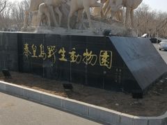 -秦皇岛野生动物园