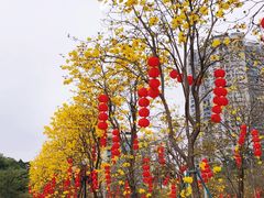 -洲头咀公园