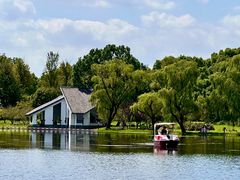 -上海共青森林公园