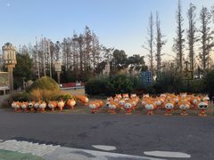 -上海长兴岛郊野公园