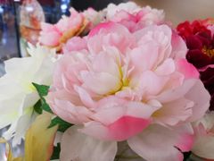 -万达广场(菏泽牡丹店)