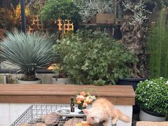 -自由生长植物工作室(深港花卉中心店)