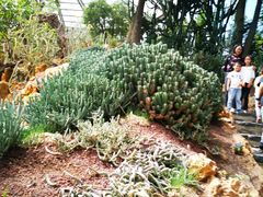 -南通洲际绿博园