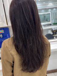 -镁连社·美联社