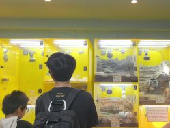 点击看大图 -神奇动物撸宠馆·羊驼·小浣熊·异宠(豫园店)