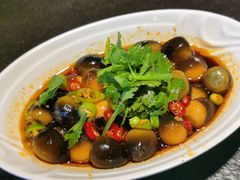-靠山屯东北农家菜(八龙桥雅苑店)