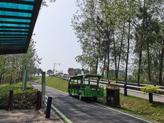 -合肥滨湖国家森林公园