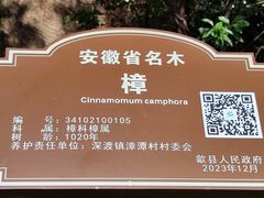 -新安江山水画廊风景区