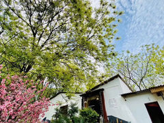 -花间酒庭院餐厅(谷山店)