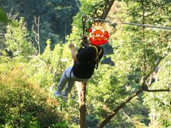 -清迈丛林飞跃 JungleFlight