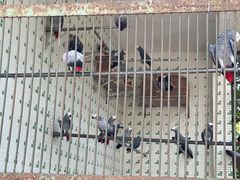 -广东茂名森林公园