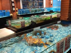 水产区-广东道至正餐厅(区庄店)