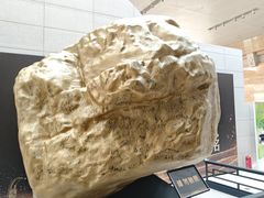 -烟台市博物馆
