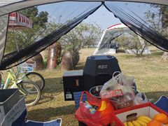 -鹅湖玫瑰文化园