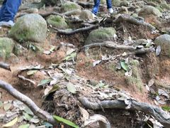 -火炉山森林公园