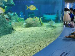 -沙沙哗啦海洋馆(华宇百花谷店)