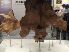 -北京周口店北京人遗址博物馆
