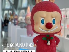 -凤凰中心