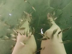 -苏州湾王焰温泉度假酒店