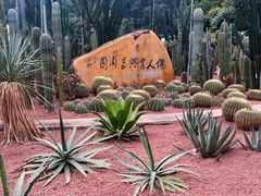 -深圳仙湖植物园