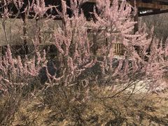 -水洞沟旅游区