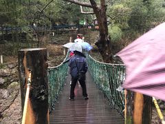 -宁波五龙潭景区