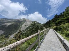 -朱雀国家森林公园