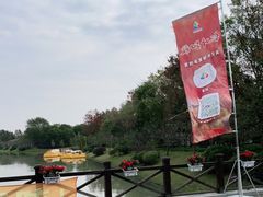 -上海海湾国家森林公园