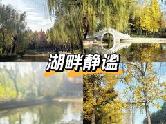 -洛阳市隋唐城遗址植物园