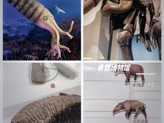 -国家自然博物馆