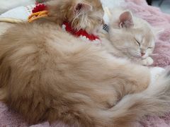 -万达广场(大明宫店)