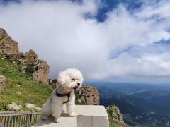 -白草畔自然风景区