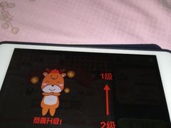 -智韵素养黎明练字(莘庄校区)