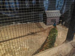 -酷嗒动物文化乐园(cutezoo西溪乐天城店)